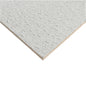 Zentia Fission Board (Tatra) 600mm x 600mm x 15mm